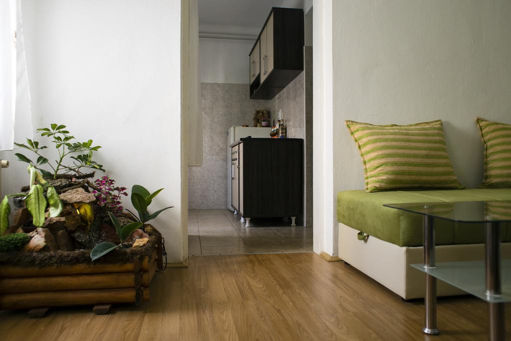 Green Apartment نوفي ساد المظهر الخارجي الصورة
